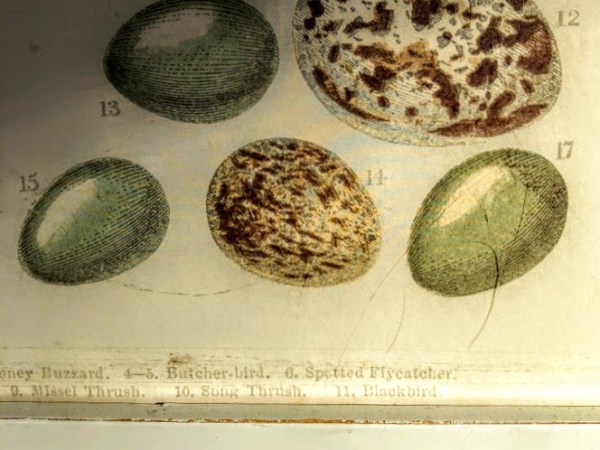 Näin onnistut asiatekstin kirjoittamisessa